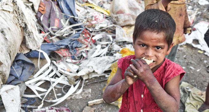 ¿Cómo podemos acabar con el hambre en el mundo?